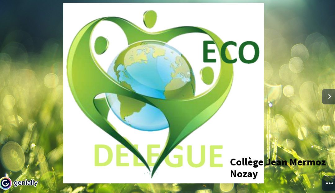 Les Actions Des Eco-Délégués